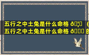 五行之中土兔是什么命格 🦈 （五行之中土兔是什么命格 🐘 的人）